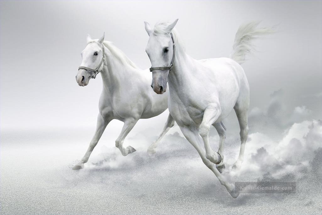 Pferde Schneewittchen laufen Ölgemälde